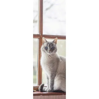 Obraz Plakát Kočka na parapetu okna bez rámu 30,5 x 91,5 cm