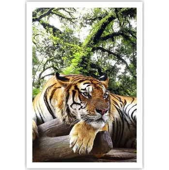 Obraz Plakát na zeď bez rámu 70x100 tygr, obraz, plakáty do obýváku a ložnice
