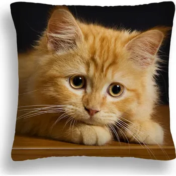 Polštář POLŠTÁŘ KOČKY 03 KOŠÍK ZRZAVÁ KOČKA DRAOIE STŮL