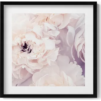 Obraz Dekorace - obraz v černém rámu na zeď - Jemné květy pivoňky 50x50 cm