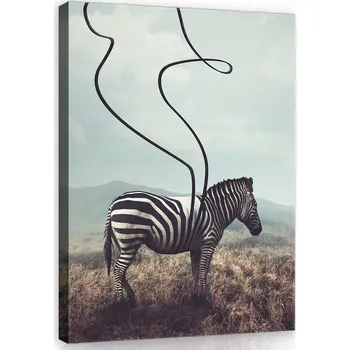 Obraz OBRAZ NA PLÁTNĚ CANVAS 40x60 ZEBRA PRUHY KRAJINA