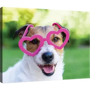 Obraz OBRAZ NA PLÁTNĚ CANVAS 60x40 PES RŮŽOVÉ BRÝLE