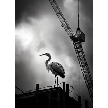 Plakát Plakát Vysoko nad Horizontem bez rámu 40 x 55 cm