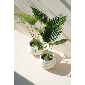 Plakát Plakát Obrysy Květináčů bez rámu 61 x 91,5 cm