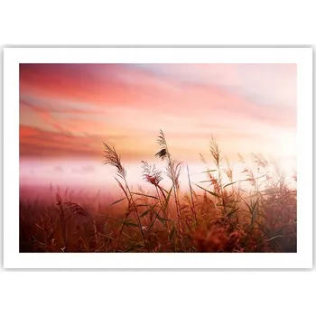 Obraz Plakát bez rámu do obýváku ložnice 70x50 krajina moderní módní obraz
