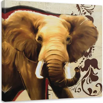 Obraz OBRAZ NA PLÁTNĚ DO OBÝVÁKU Slon Afrika 50x50