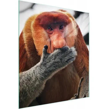 Kuchyňské prkénko Krájecí deska TMK ArtDeko sklo 1 ks