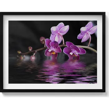 Obraz Obraz s rámem a grafikou na zeď Růžový květ orchideje na vodě 80x60 cm