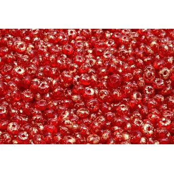 Korálek Korálky rondelka č.64