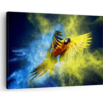 Obraz Obraz na plátně do obýváku ložnice 70x50 papoušek foto obrazy na zeď