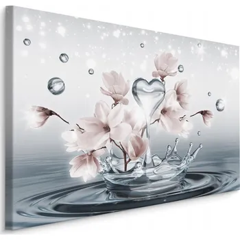 Obraz Obraz KVĚTY Magnolie Kapky Vody Dekor 3D 70x50