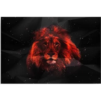 Obraz Tištěný obraz 50x40 lev temnota zvířata