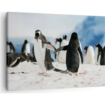 Obraz Obraz na plátně do obýváku, ložnice 70x50 tučňák foto obrazy na zeď