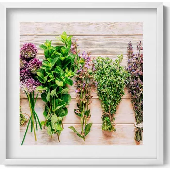 Obraz Elegantní obraz v bílém rámu Rostliny a bylinky na prknech 50x50 cm