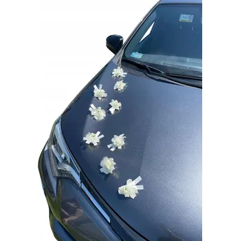 Obraz Dekorace na auto – květiny béžové