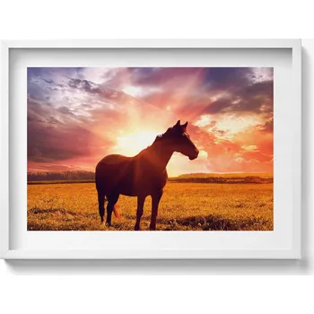 Obraz Dekorativní nástěnný obraz do pokoje Kůň na poli při západu slunce 70x50 cm