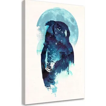 Obraz Obraz na plátně Vzpomínky sovy 70x100