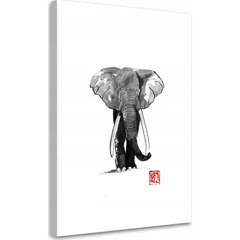 Obraz Obraz na plátně, Portrét Alfa - Péchane 80x120