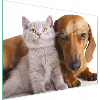 Kuchyňské prkénko Krájecí deska TMK ArtDeko sklo 2 ks