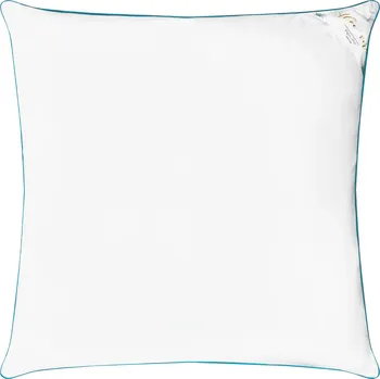 Polštář Polštář s Aloe Vera 70x70