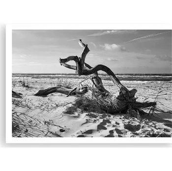 Obraz Plakát na zeď bez rámu 100x70 pláž obraz plakáty do obývacího pokoje ložnice