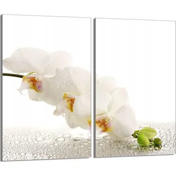 Kuchyňské prkénko Krájecí deska TMK ArtDeko sklo 2 ks