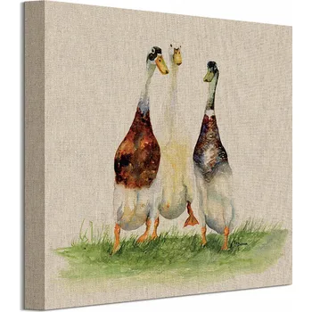 Obraz Jane Bannon Tři Kachny Obraz na plátně 30x30 cm