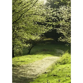 Obraz Plakát Sluneční světlo na cestě mezi poli bez rámu 29,7 x 42 cm