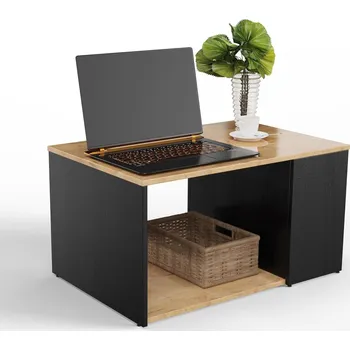 Konferenční stolek Konferenční stolek PLATAN ROOM obdélníkový 90 x 60 x 47 cm černý, dub craft zlatý