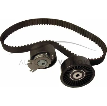 Rozvod motoru Sada rozvodového řemene - SET INA Renault Trafic II 2001 - 2006 2.5 dCi - G9U