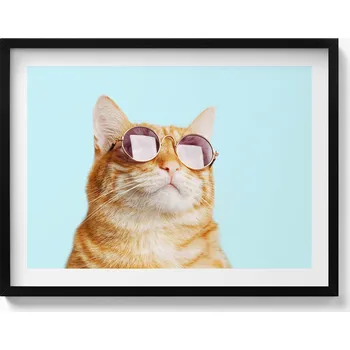 Obraz Dekorativní obraz v černém rámu do obýváku - Legrační kočka v brýlích 80x60 cm