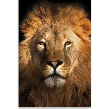 Kuchyňské prkénko Skleněná Ochranná Deska a Krájecí Prkénko | Indukce, Sporák ds-0439