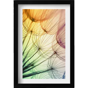 Obraz Dekorativní obraz v černém rámu do obýváku Jemné chmýří pampelišky 20x30 cm