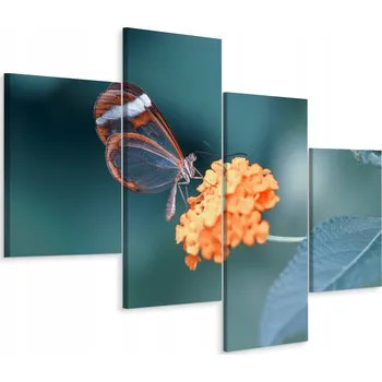 Obraz Čtyřdílný obraz MOTÝL Květiny Makro 3D 80x50