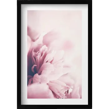 Obraz Dekorace, obraz s grafikou v krásném rámu - Detail pivoňkových lístků, 40x60 cm