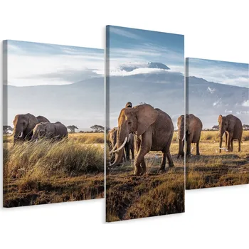 Obraz Obraz Tryptych SLONI na Pozadí Kilimandžára 60x40