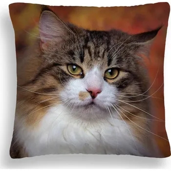 Polštář VELKÝ 50*50 POLŠTÁŘ KOČKA 27 VÁŽNÝ HNĚDÝ KOCOUR