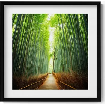 Obraz Elegantní obraz do obýváku Bambusový les Arashiyama Kjóto Japonsko 50x50 cm