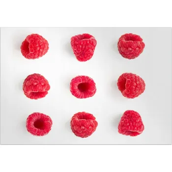 Rohožka Podlahová rohož vyrobená z vinylu Malina 120 x 80 cm