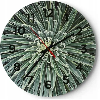 Hodiny Velké nástěnné hodiny 40x40 Květ Agáve Skleněné hodiny Kulatý Tiché