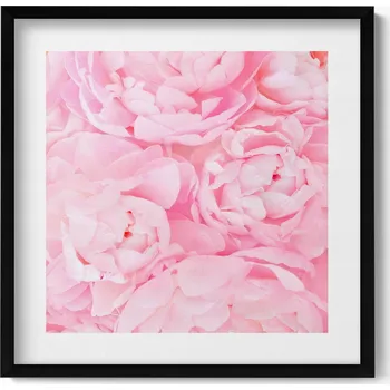 Obraz Moderní nástěnná dekorace obraz v černém rámu Kvetoucí květy 50x50 cm