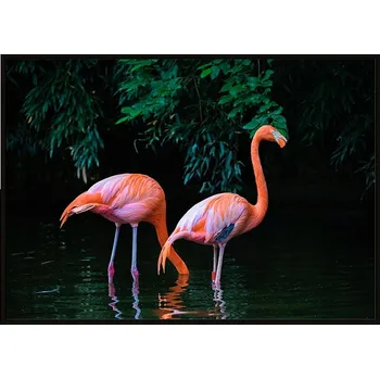 Obraz OBRAZ PLAKÁT V RÁMU 53x73 cm Plameňáci P950