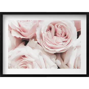 Obraz Nástěnný obraz do obýváku kuchyně Bledě růžové květy jemné růže 70x50 cm