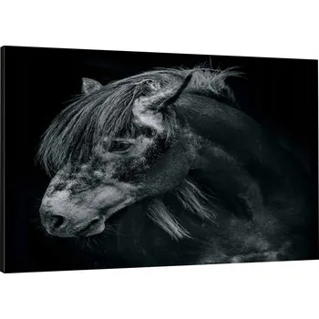 Obraz Obraz Na Plátně Kůň Hlava Černá 100x70 800