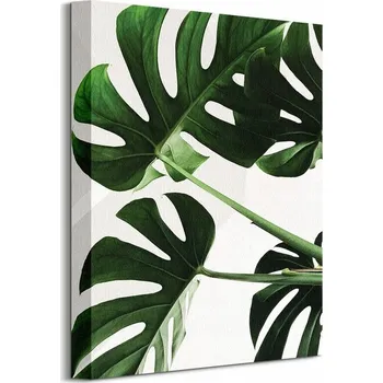 Obraz Plakát Exotické listy bez rámu 30 x 40 cm