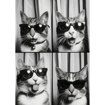 Plakát Plakát Kočičí Koketérie bez rámu 29,7 x 42 cm