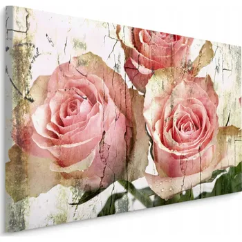 Obraz Obraz na plátně RŮŽE Květiny Vintage styl 70x50