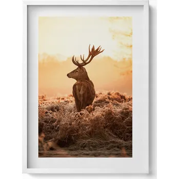 Obraz Závěsný obraz na zeď dekorace do bytu Jelen při východu slunce 50x70 cm