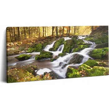 Obraz Fotoobraz Canvas Tisk Do Ložnice Potok v Podzimním Lese 100x50
