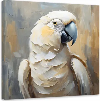 Obraz OBRAZ NA PLÁTNĚ CANVAS Olejová Papoušek 40x40